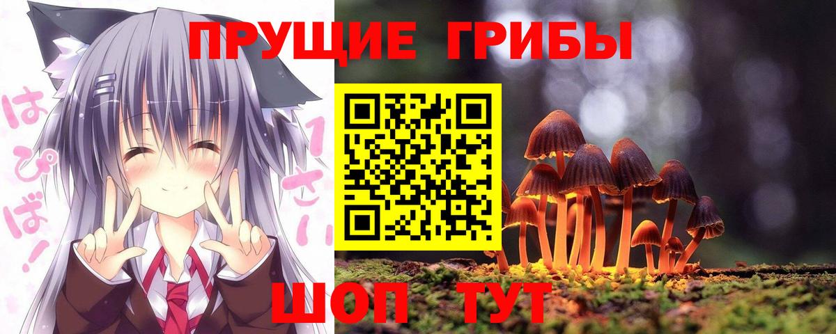 Нальчик  Галлюциногенные грибы Psilocybine cubensis  Псилоцибиновые грибы мицелий  Вход с VPN 